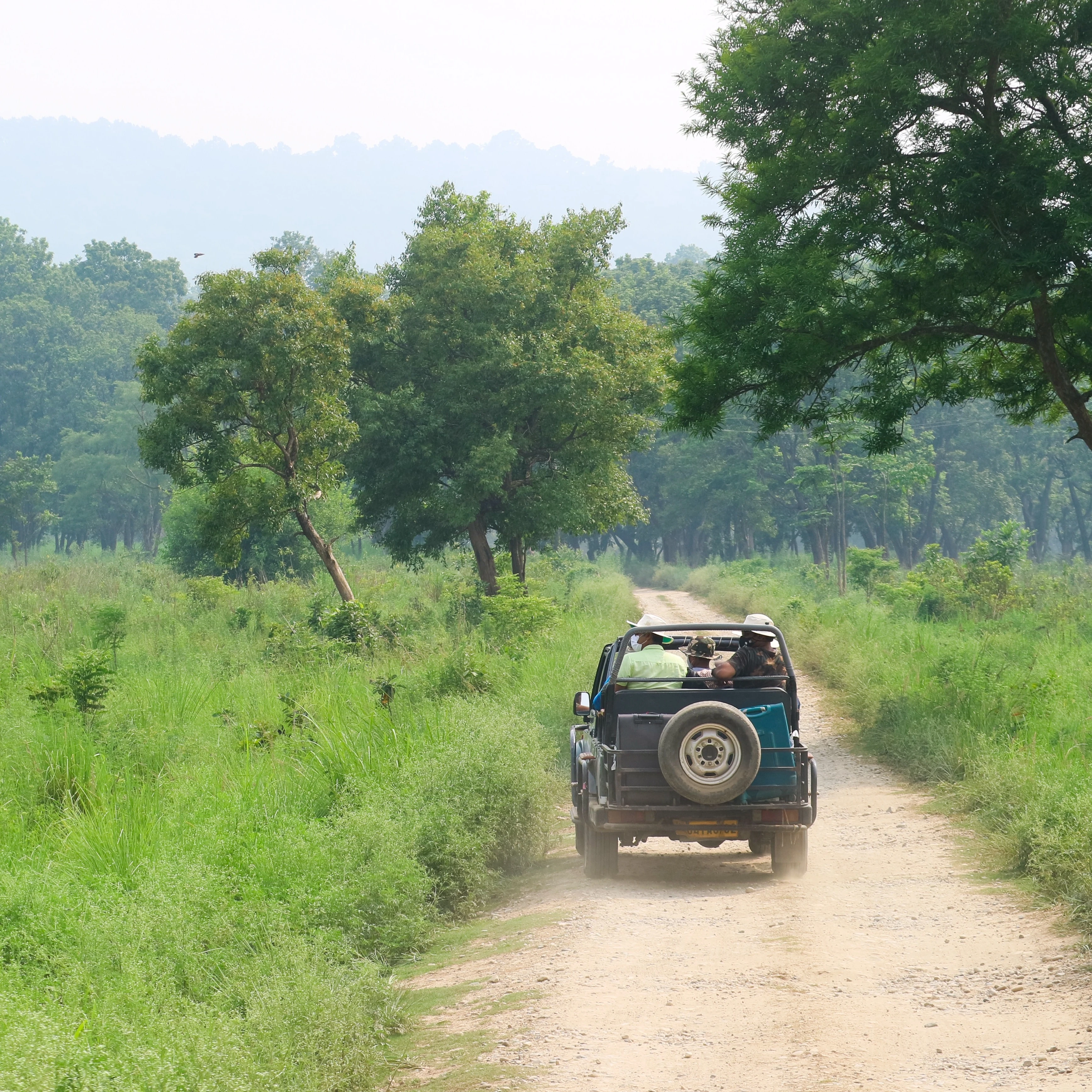 Golden Triangle Tour with Corbett